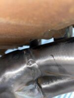 Sanderson FF4 on engine